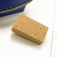Image for Sponge