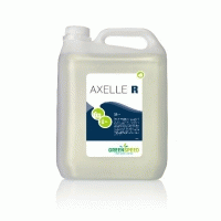 Image for AXELLE R Industrial Power Cleaner